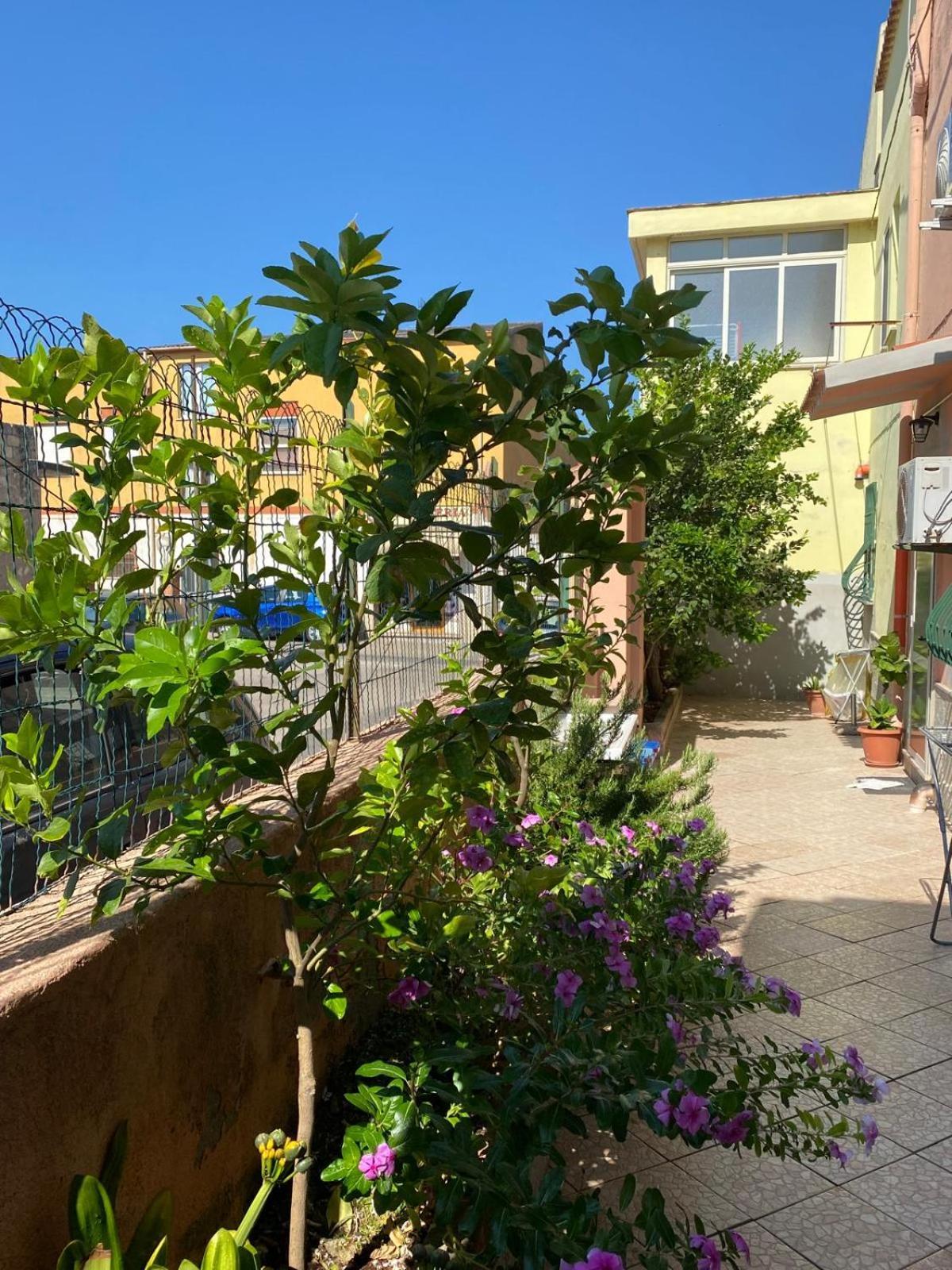 Lemon House Appartement Sassari Buitenkant foto
